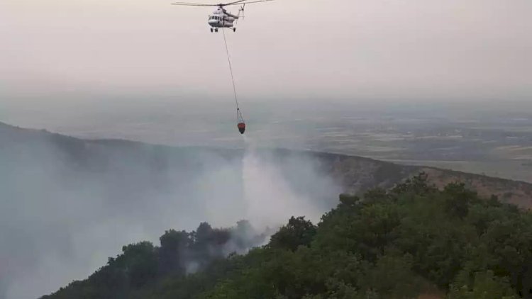    Lənkəranda baş verən meşə yanğınları söndürüldü   
