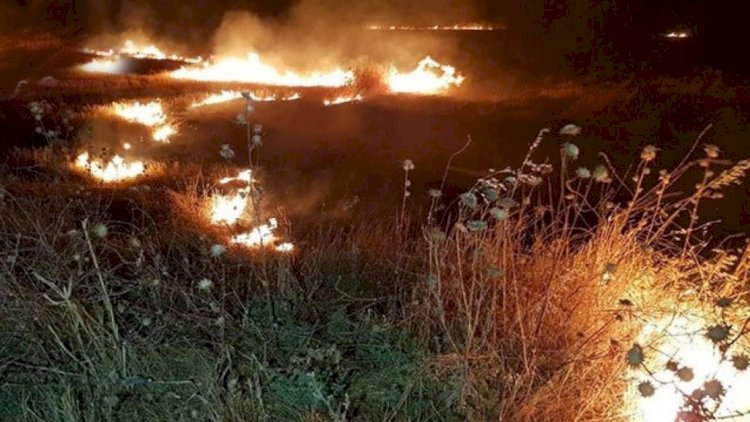    Ağsudakı yanğın Şamaxı rayonuna keçdi - Fotolar   + Yenilənib