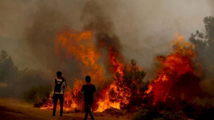    Yanğının fonunda poz verən məşhurun yardımını istəmədilər   - Fotolar