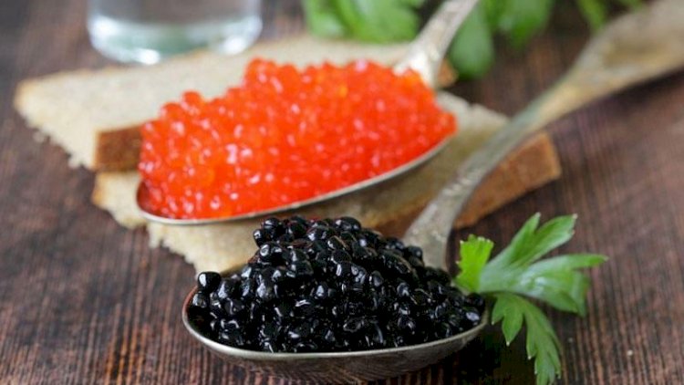    Balıq kürüsünün tərkibi və FAYDASI   