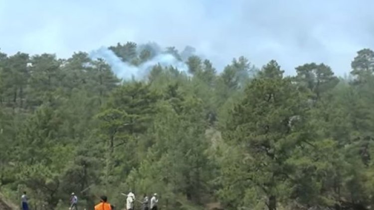    Türkiyədə yaşayış məntəqələri üçün təhlükəli yanğınların hamısı söndürüldü   