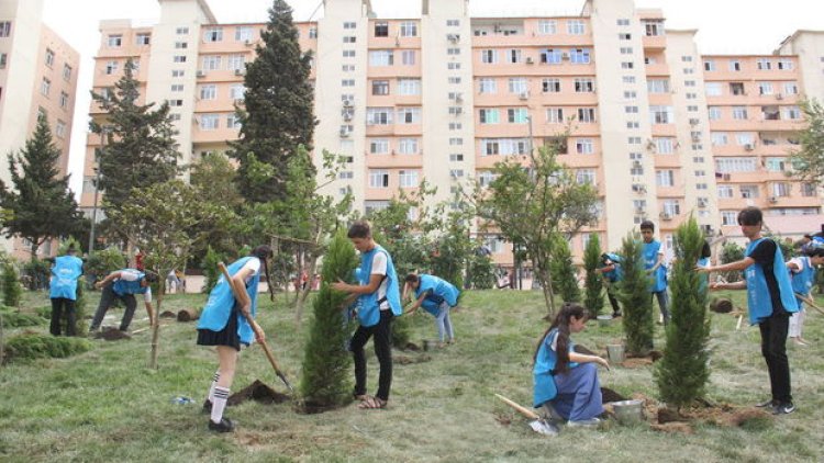    Paytaxtda daha bir həyət abadlaşdırıldı - Fotolar   