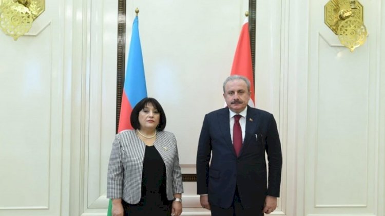    Milli Məclisin sədri türkiyəli həmkarına başsağlığı verdi   