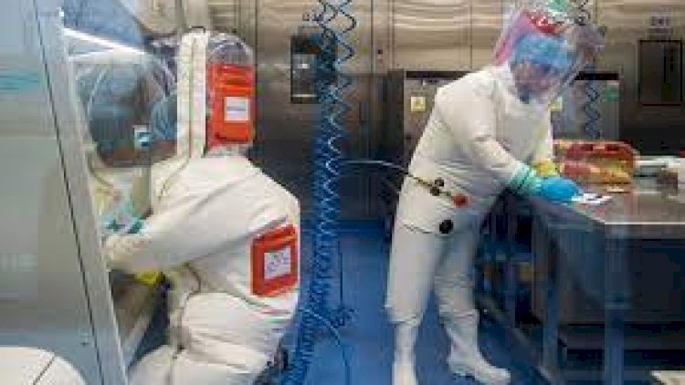    “Koronavirus laboratoriyada icad olunub” – Elxan Şahinoğlu   