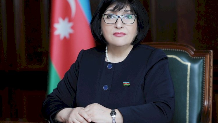   Milli Məclisin sədri Azərbaycanın bir sıra ölkələrdə səfirləri ilə görüşdü   