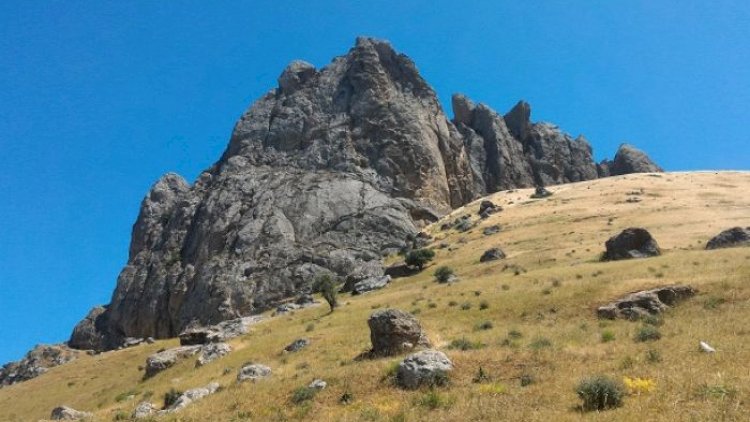    Meşədə köməksiz qalan şəxs xilas edildi   