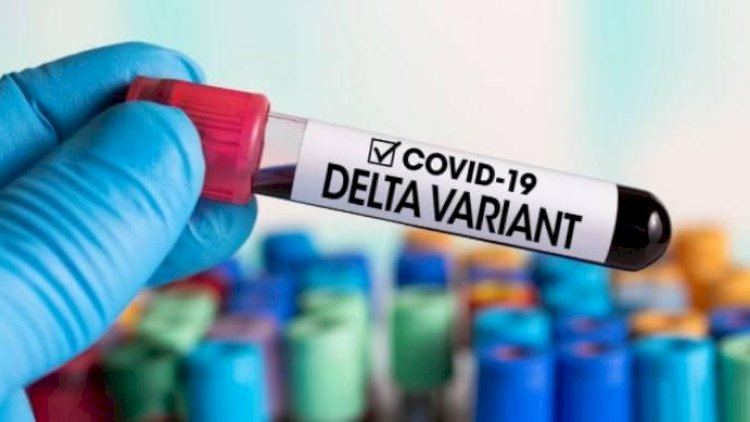    Delta ştammı digər mutasiyalardan nə ilə fərqlənir?   