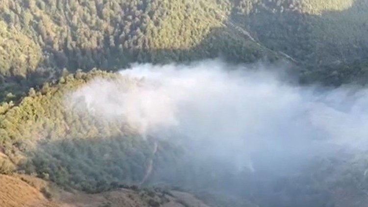    Lerikdə yanğınlar davam edir    
