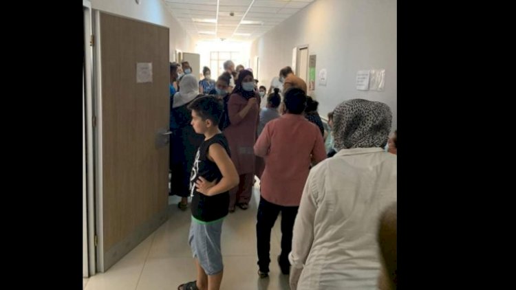    Bakıda nə baş verir?   - Peyvəndləmə xaosu