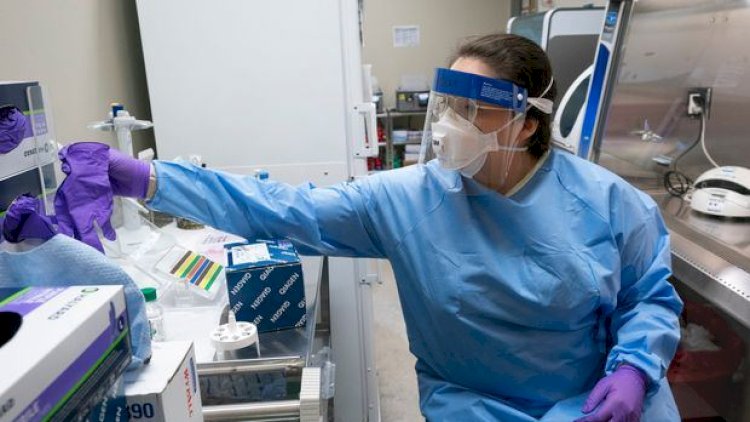    Cənubi Afrikada yeni növ koronavirus aşkarlandı   