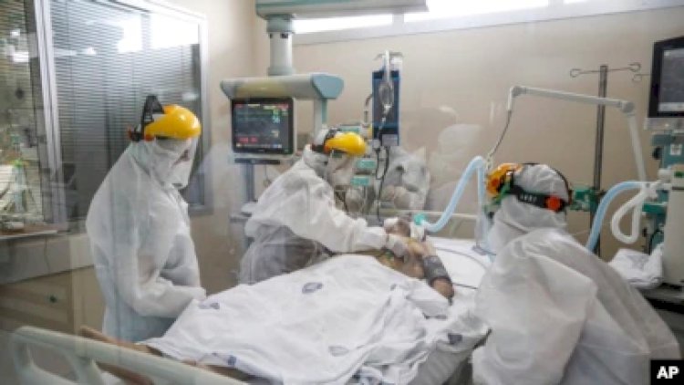    Ən qədim koronavirus tapıldı: 21 min il öncə…   