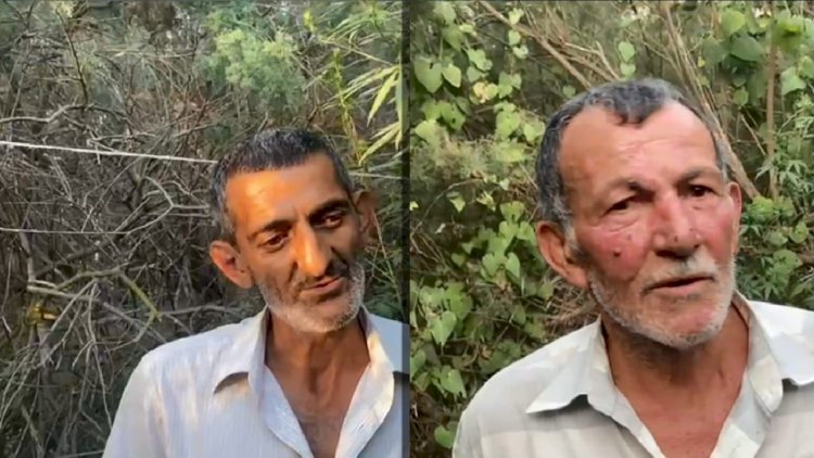    Azərbaycanda narkotik yetişdirən dəstə saxlanıldı   