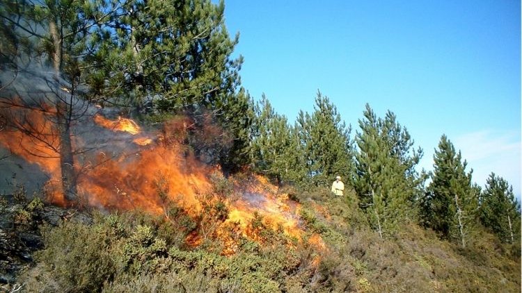    Bakıda yanğın başladı: Nazirlik hərəkətə keçdi   