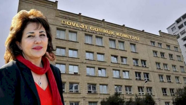    Gömrük Komitəsi 100 dollarlıq əşyaya “antikvar” statusu verdi   