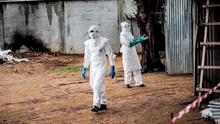    Nigeriyada vəba qurbanlarının sayı 2 141 nəfərə çatdı   