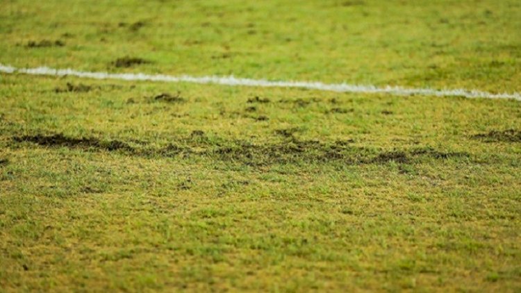    Əcnəbilərin şikayət etdiyi stadionun ot örtüyü yenilənir   