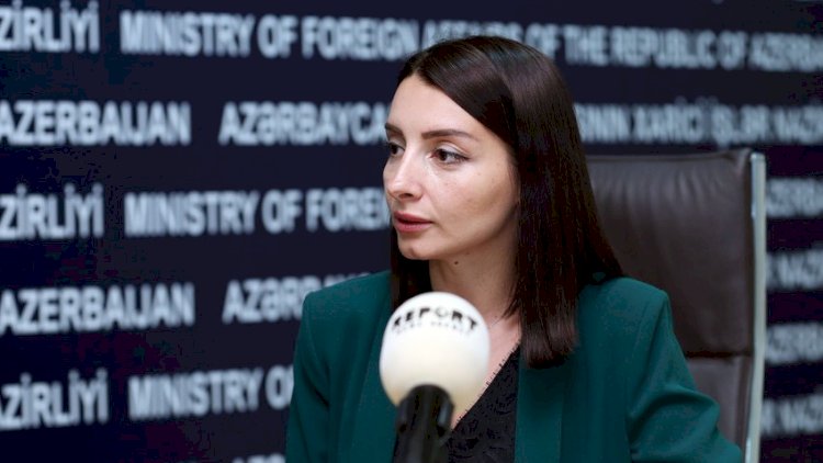    “Qarabağ Azərbaycanın tərkib hissəsidir və hər hansı statusdan söhbət gedə bilməz”   