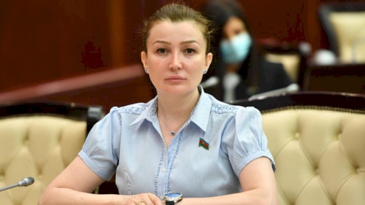    “Azərbaycanda feminizmə ehtiyac yoxdur”- Deputat   