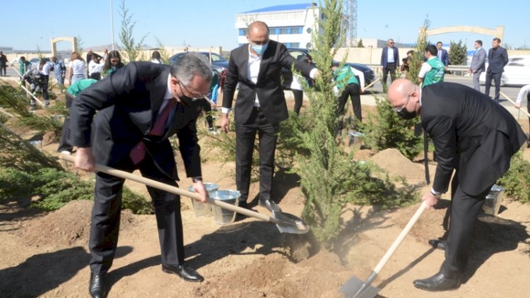    Bakıda Anım Gününə həsr edilən ağacəkmə aksiyası keçirilib   - Fotolar