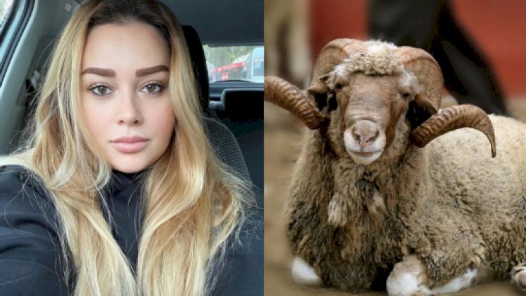    Xatirənin qurbanı qəbul olunmadı   