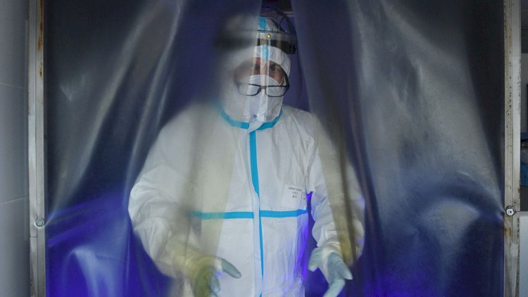   Virus insanlardan yarasalara keçə bilər    