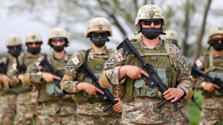    Gürcüstan ordusunun sayı sabit qalacaq   