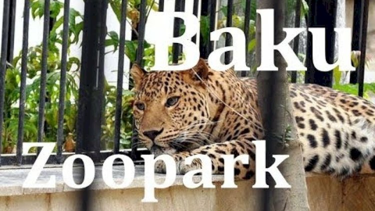    Bakı Zooloji Parkı qapılarını ziyarətçilərə açdı   