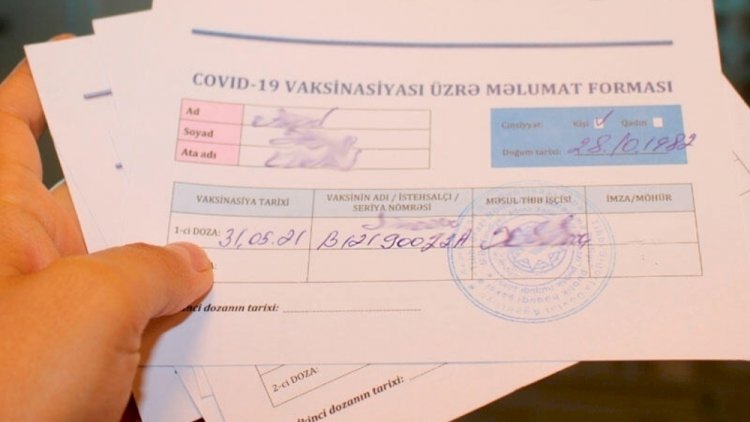    Bu tibb işçiləri 50 manata saxta pasport satıblar - Video   