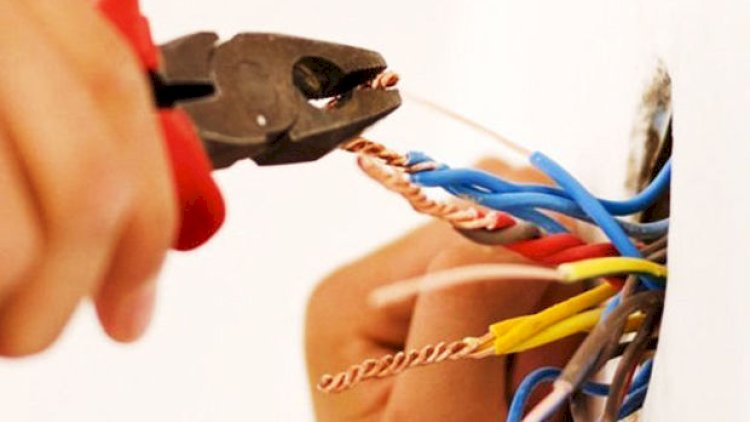    Lənkəranda ağaca çıxan kişini elektrik cərəyanı vuraraq öldürdü   