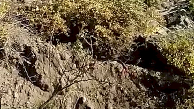    Qubada torpaq sürüşməsi baş verdi, 10 ailə evlərindən köçürüldü   