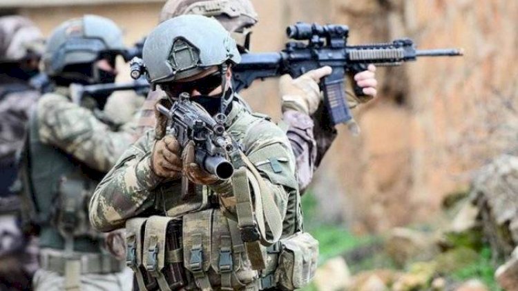    Türkiyədə 2 PKK terrorçusu zərərsizləşdirildi   