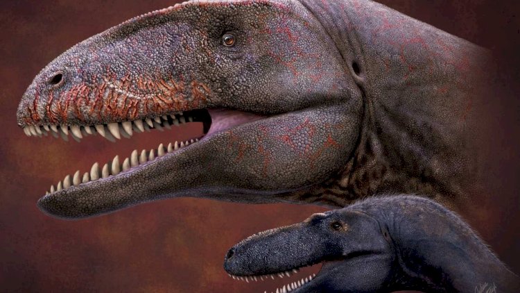    Dinozavr yumurtaları - Gözlənilməz kəşf   