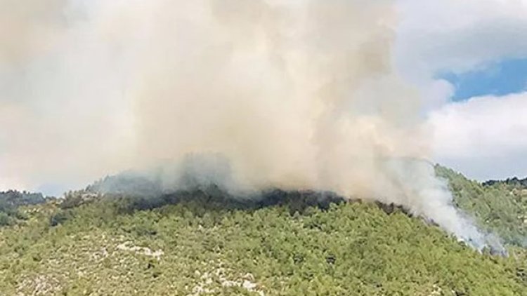    Antalyada yenidən meşə yanğını başladı   