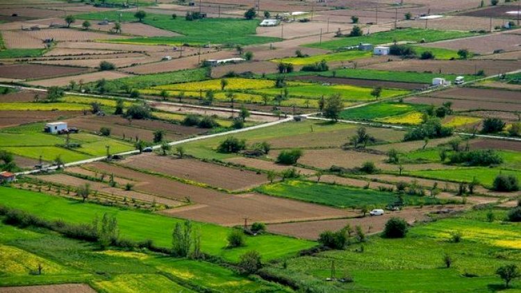    15 rayonun pay torpaqlarında dürüstləşdirmə işləri yekunlaşdı - Siyahı   