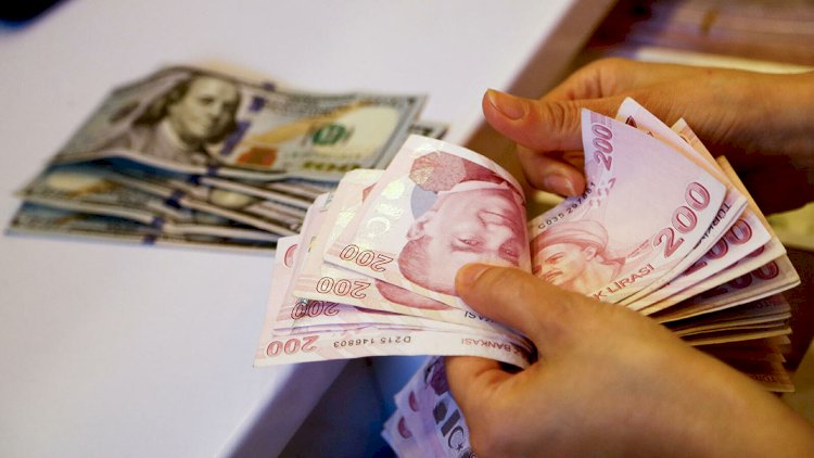    Alman bankının proqnozu: 1 dollar 11 lirə olacaq   