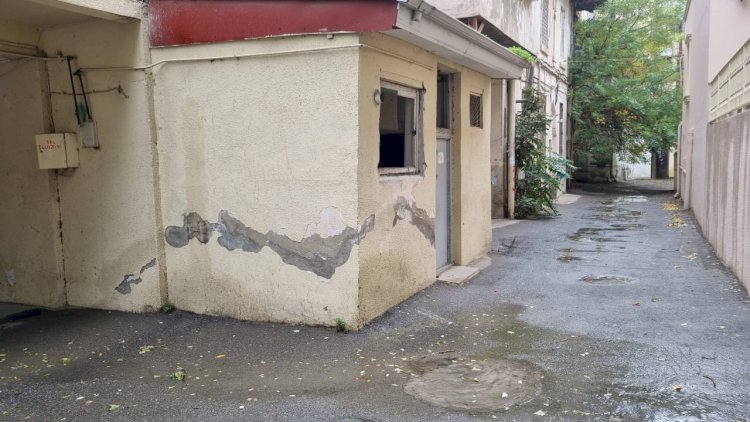     “Yaşıl vadi” məhv olmaq təhlükəsi ilə üzləşib - Şikayət   