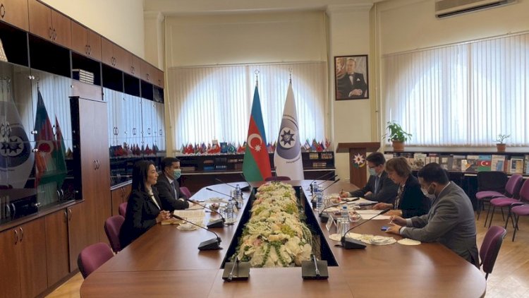    Ombudsman Avropa Şurasının nümayəndəsi Verena Teyloru qəbul etdi   