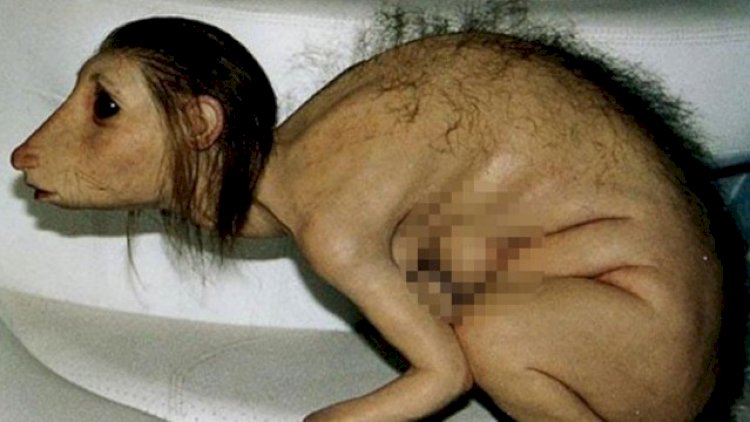    Quranı cırandan sonra “məxluğa çevrilən qızın“ hekayəsi - FOTO   