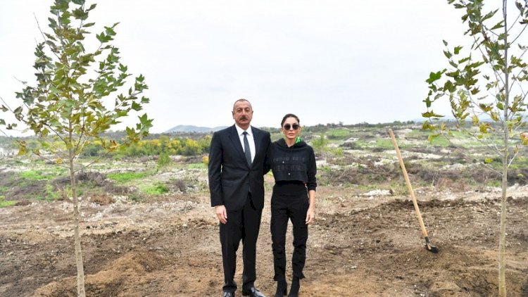    Prezident və birinci xanım Cıdır düzündə ağac əkdilər   