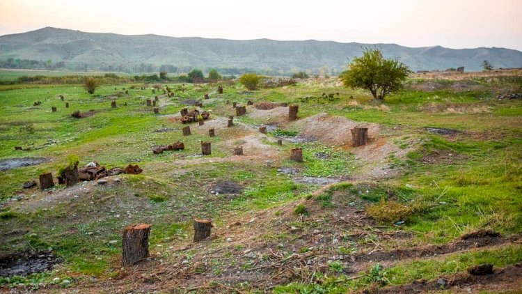    Ermənilərin vurduğu bu ziyanı bərpa etmək mümkün olmayacaq    