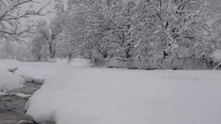    Bu gun hava necə olacaq?   