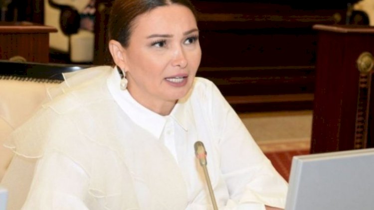    Qənirə Paşayeva: “Dövlət qurumları neçə qazini işlə təmin etməsi barədə hesabat versin”   