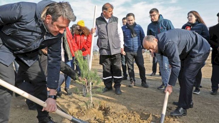    Bakıda “Yaşıl Marafon” aksiyası: İki mindən çox ağac əkildi - Fotolar   