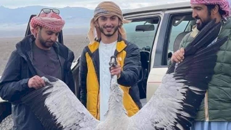    “Bilirəm ərəblər niyə ov üçün Azərbaycana gəlir“   - 5 kişiyə 1 keçi...