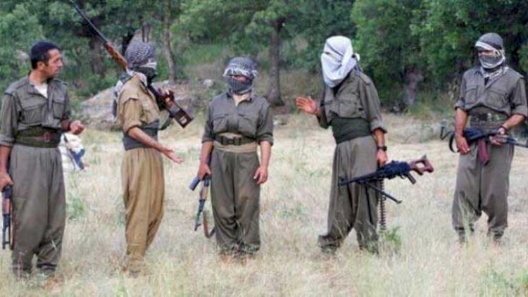    182 PKK terrorçusu təslim olub   