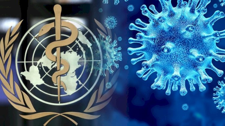    “Omikron” bəlası: “Vaxt lazımdır”   