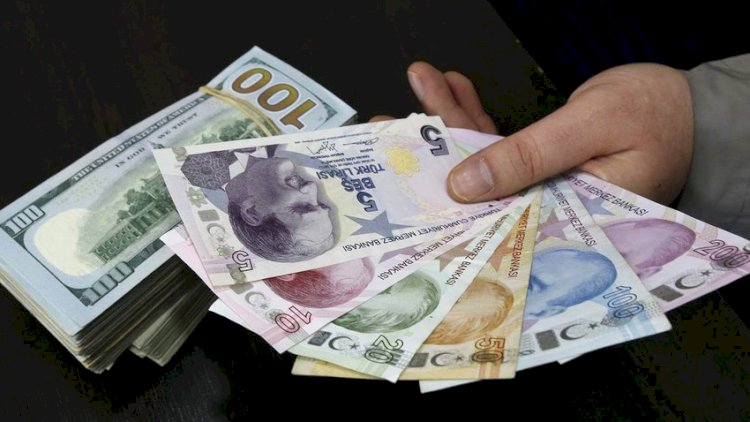    Türk valyutası daha da ucuzlaşacaq - 1 $=16 TL   