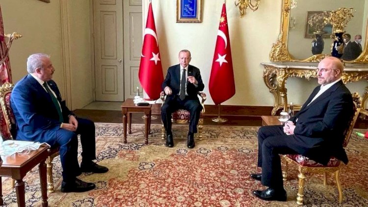    İranlı spiker Ərdoğanla görüşdü   
