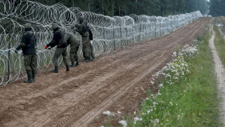    Polşaya 140 hərbi mühəndis göndərilir   