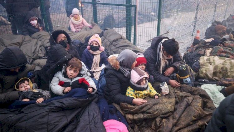    Litva miqrantlara qayıdış üçün pul vəd edir   